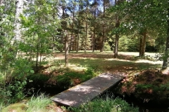 IMG_20220717_130723-scaled