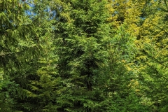 PXL_20220717_104957686-scaled