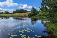 PXL_20220717_105525019-scaled