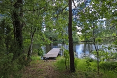 PXL_20220717_105601102-scaled