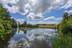 PXL_20220717_105730745-scaled