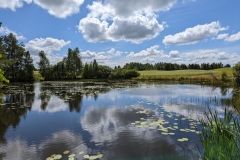 PXL_20220717_105733018-scaled