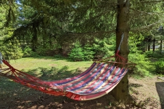 PXL_20220717_110533880-scaled